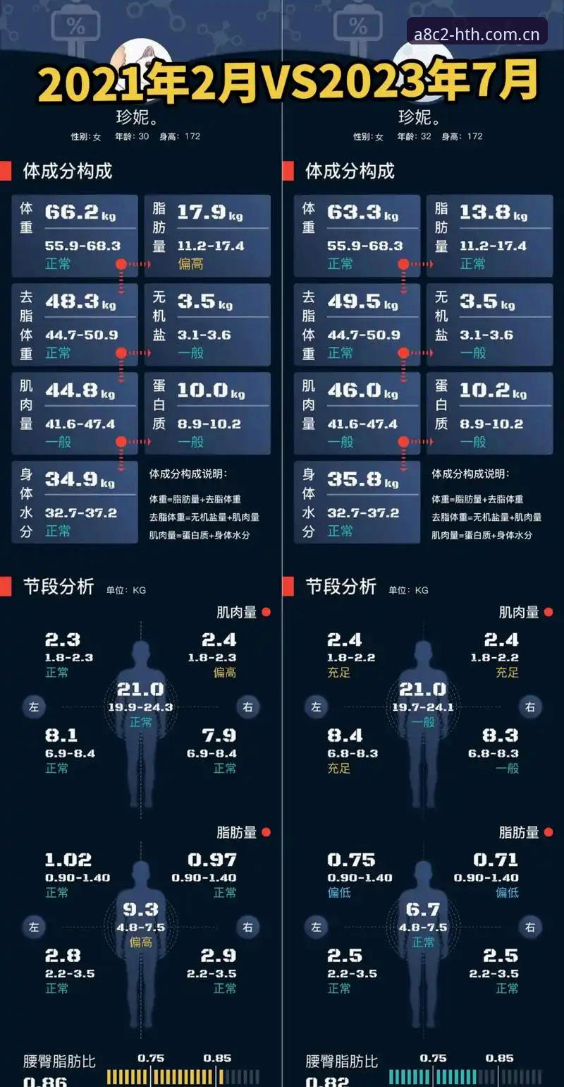 HTH实时赔率 HTH实时赔率全面评测:A8C2核心科技如何重塑体育数据分析体验